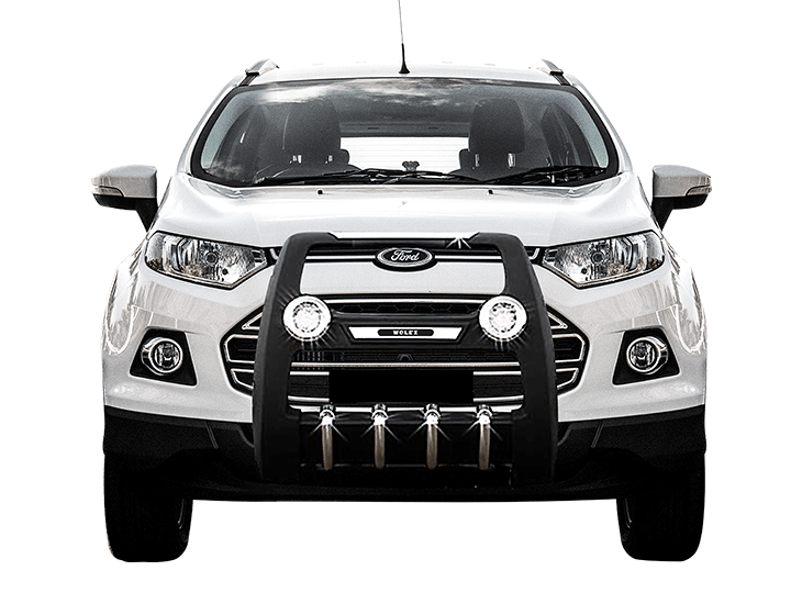 Ecosport