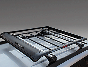 Xylo luggage carrier hot sale