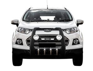 Ecosport