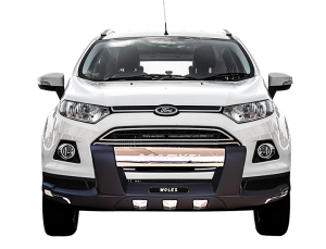 Ecosport