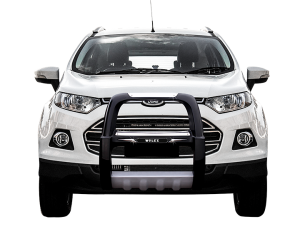 Ecosport