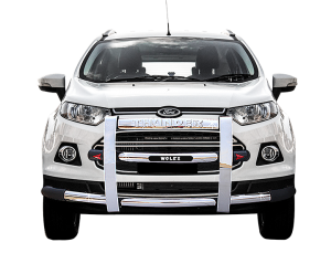 Ecosport