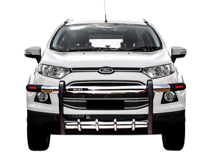 Ecosport